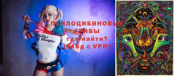 не бодяженный Алексин
