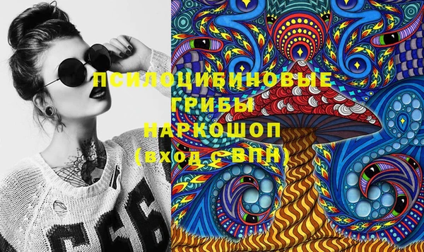 не бодяженный Алексин