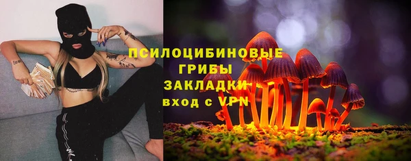 не бодяженный Алексин