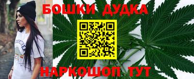 a pvp Новодвинск
