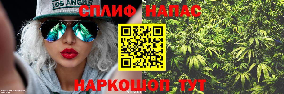 Бошки марихуана план  Вход с VPN  Марихуана VHQ  Благодарный  Бошки марихуана план 
